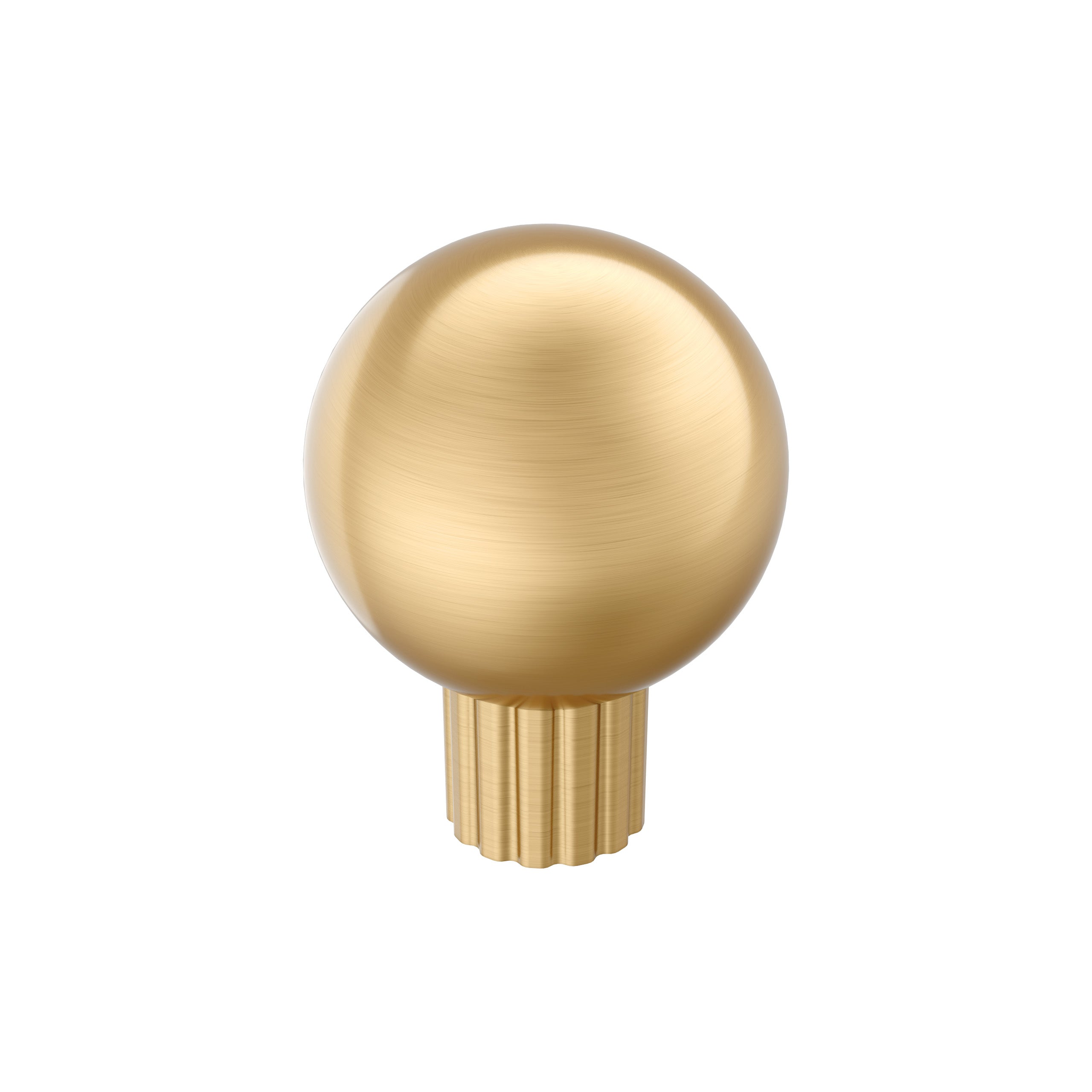 Cowrie 1-1/8 inch (29mm) Diameter Champagne Bronze Cabinet Knob