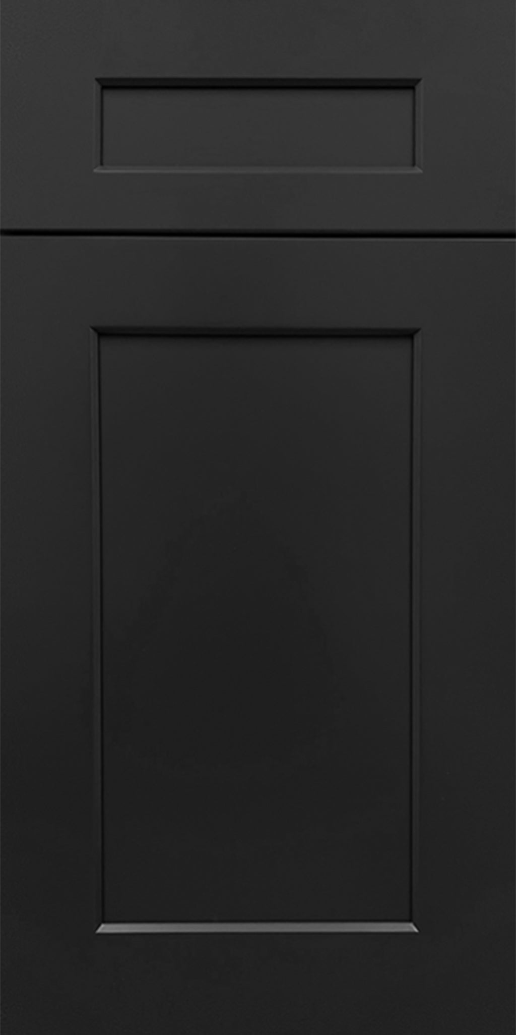 Black cabinet door with a modern shaker rectangular design