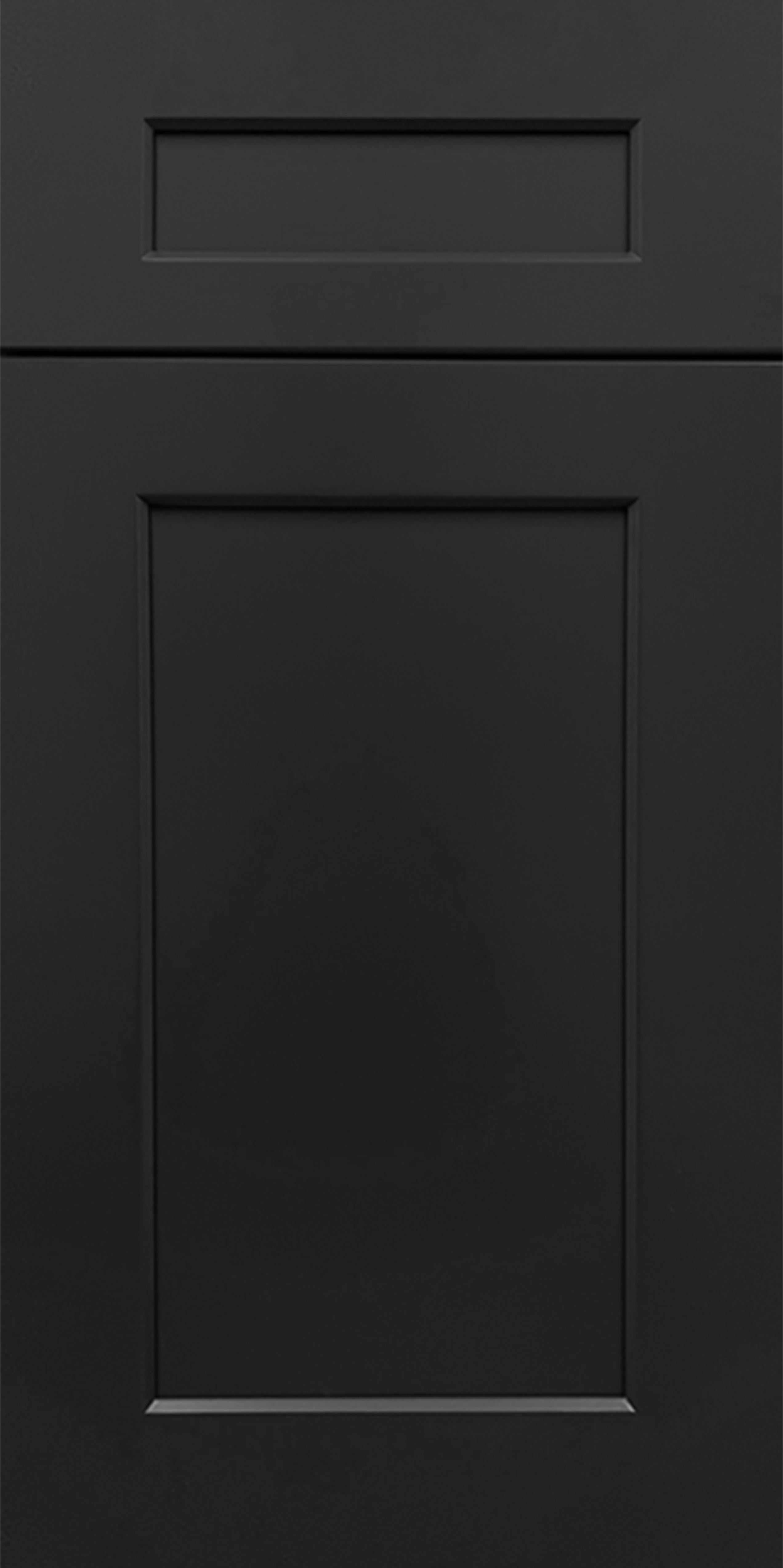 Black cabinet door with a modern shaker rectangular design